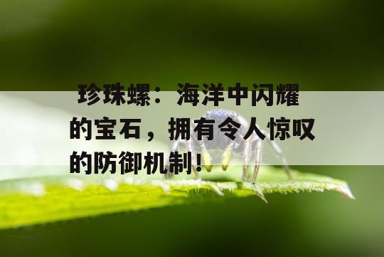  珍珠螺：海洋中闪耀的宝石，拥有令人惊叹的防御机制！