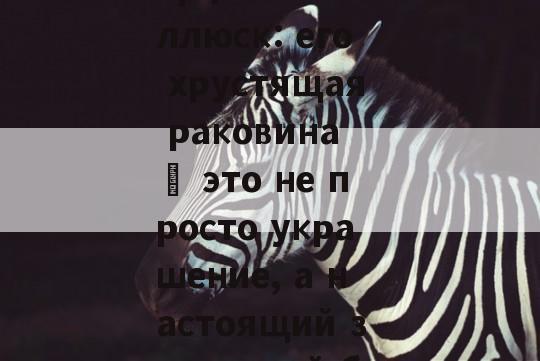  冰岛 двустворчатый моллюск: его хрустящая раковина – это не просто украшение, а настоящий защитный бункер!